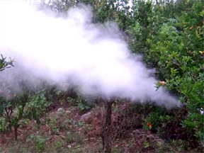 大功率彌霧兩用機